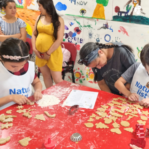 taller-de-cocina-galletas-de-navidad-11