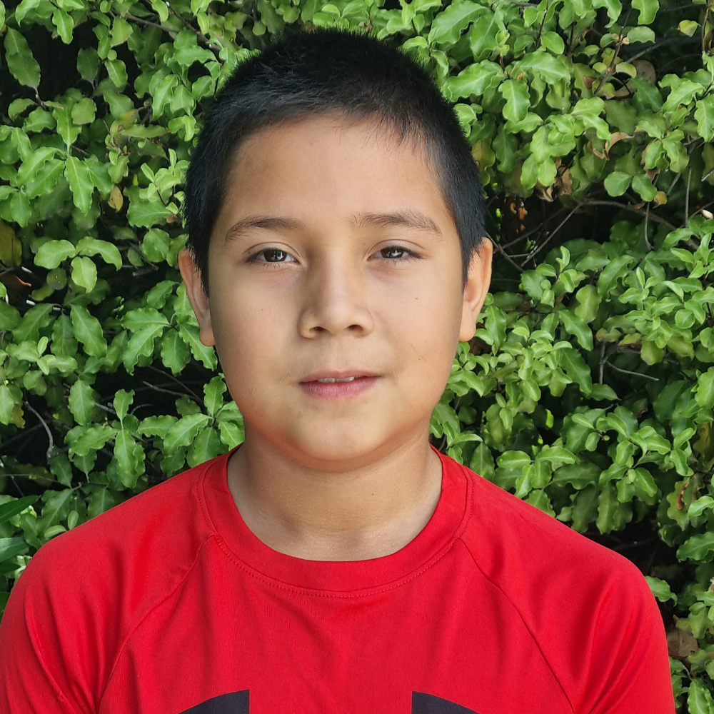 DENZEL MANZANO MONTENEGRO