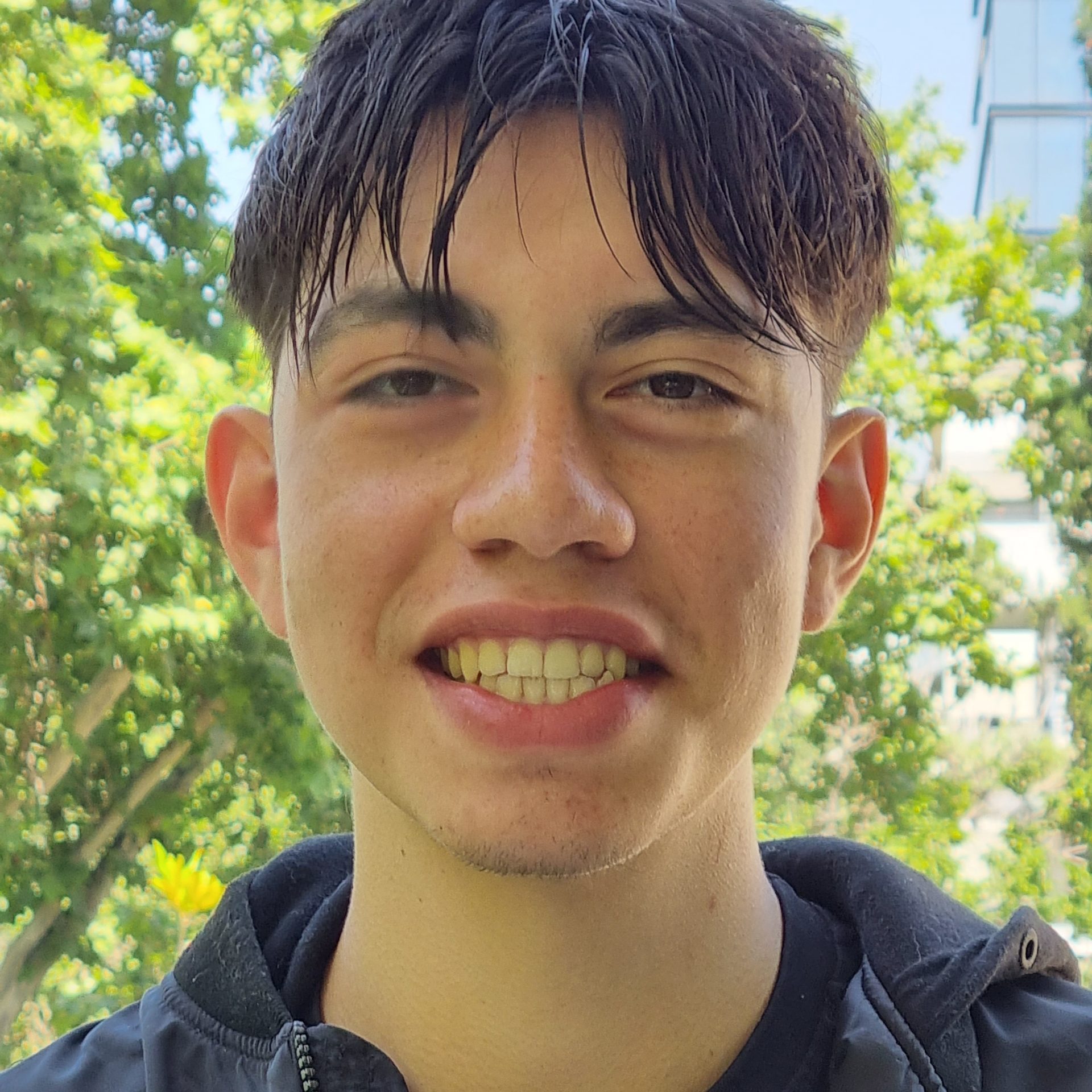 MARCO ANTONIO VIOLANI ROJAS