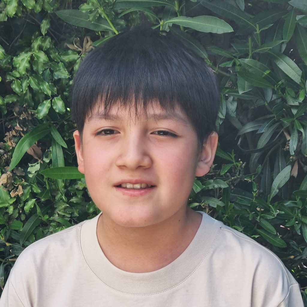 MAXIMILIANO ARAYA MENDEZ